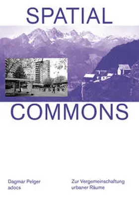 Pelger |  Spatial Commons | Buch |  Sack Fachmedien