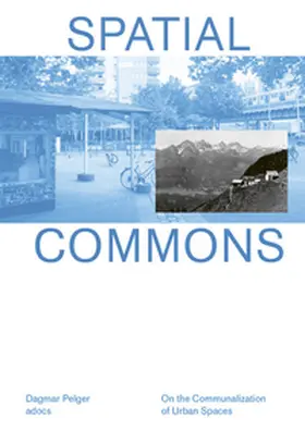 Pelger |  Spatial Commons | Buch |  Sack Fachmedien