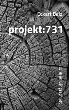 Balz |  projekt: 731 | Buch |  Sack Fachmedien