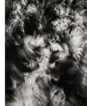 Judin / Karstens |  Hugo Wilson: Coincidental Truths | Buch |  Sack Fachmedien