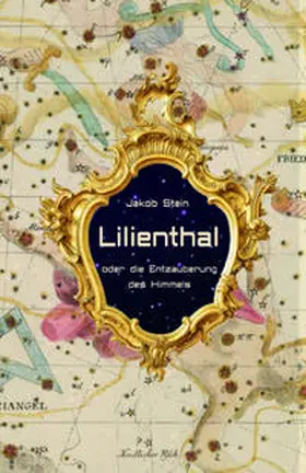 Stein |  Lilienthal oder die Entzauberung des Himmels | Buch |  Sack Fachmedien