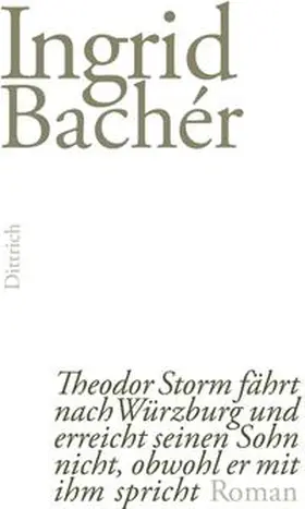 Bachér |  Theodor Storm fährt nach Würzburg und erreicht seinen Sohn nicht, obwohl er mit ihm spricht | Buch |  Sack Fachmedien