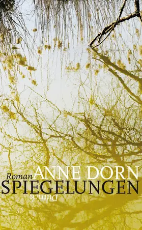 Dorn |  Spiegelungen | eBook | Sack Fachmedien