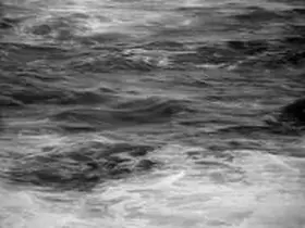  Wolfgang Zach: anders gesehen | Buch |  Sack Fachmedien