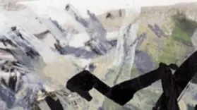 Splettstößer |  dedicated oder der Schrei der Elster 2005/2021 | Buch |  Sack Fachmedien