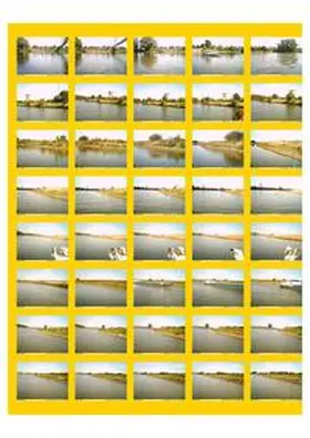  Treibgut | Buch |  Sack Fachmedien