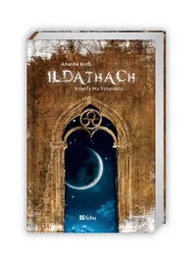 Koch |  Ildathach. Jenseits des Vergessens | Buch |  Sack Fachmedien