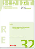 Liu / Bauhaus-Instituts für zukunftsweisende Infrastruktursysteme |  Energy Production from Biomass with the E-M-F-System | Buch |  Sack Fachmedien
