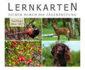 Heintges |  Lernkarten - Sicher durch die Jägerprüfung | Buch |  Sack Fachmedien