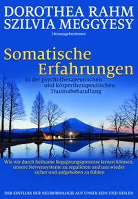 Rahm / Meggyesy |  Somatische Erfahrungen in der psychotherapeutischen und körpertherapeutischen Traumabehandlung | Buch |  Sack Fachmedien