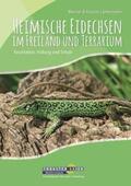 Lantermann |  Heimische Eidechsen im Freiland und Terrarium | Buch |  Sack Fachmedien