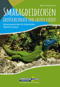 Dieckmann |  Smaragdeidechsen Lacerta bilineata und Lacerta viridis | Buch |  Sack Fachmedien