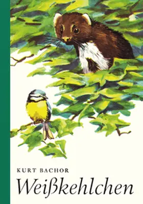 Bachor |  Weißkehlchen | Buch |  Sack Fachmedien