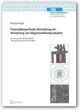 Hepke |  Prozessübergreifende Betrachtung der Herstellung von Magnesiumflachprodukten | Buch |  Sack Fachmedien