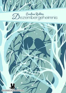 Richter |  Dezembergeheimnis | Buch |  Sack Fachmedien