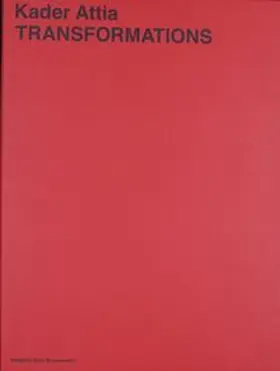 Attia / Blumenstein |  Transformations | Buch |  Sack Fachmedien