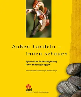 Abstreiter / Zwerger |  Außen handeln - Innen schauen | eBook | Sack Fachmedien