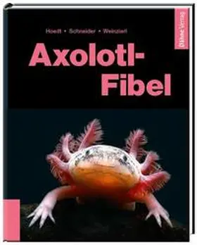 Hoedt / Schneider / Weinzierl |  Axolotl-Fibel | Buch |  Sack Fachmedien