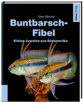 Werner |  Buntbarsch-Fibel Südamerika | Buch |  Sack Fachmedien