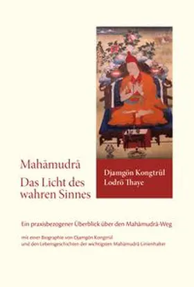  Das Licht des wahren Sinnes | Buch |  Sack Fachmedien