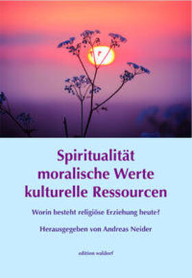 Neider |  Spiritualität moralische Werte kulturelle Ressourcen | Buch |  Sack Fachmedien