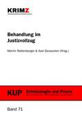 Rettenberger / Dessecker |  Behandlung im Justizvollzug | Buch |  Sack Fachmedien