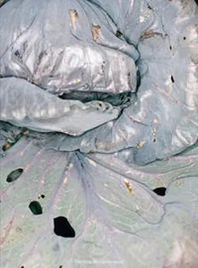 Raabe |  Verena Winkelmann: Field | Buch |  Sack Fachmedien