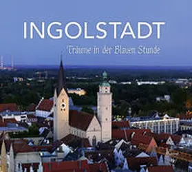 Treffer |  Ingolstadt | Buch |  Sack Fachmedien