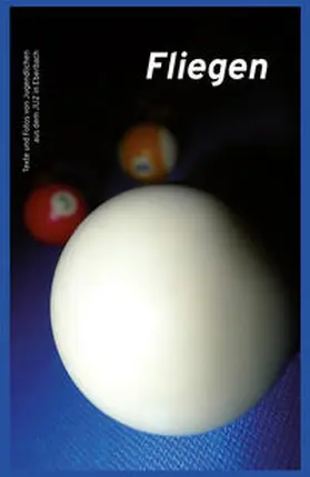  Fliegen | Buch |  Sack Fachmedien