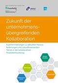Drewinski / Hayka / Müller |  Zukunft der unternehmensübergreifenden Kollaboration | Buch |  Sack Fachmedien