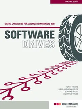 Kugler / Maag / Strube |  Software Drives | Buch |  Sack Fachmedien