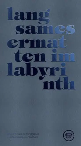 Elze |  Langsames ermatten im Labyrinth | Buch |  Sack Fachmedien