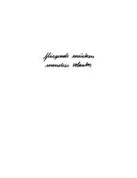  fliegende mücken/mouches volantes | Buch |  Sack Fachmedien