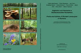 Walentowski / Bergmeier / Evers |  Vegetation und Standorte in Waldlandschaften Rumäniens | Buch |  Sack Fachmedien