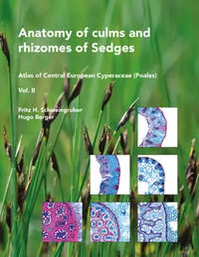 Schweingruber / Berger |  Anatomy of culms and rhizomes of Sedges | Buch |  Sack Fachmedien