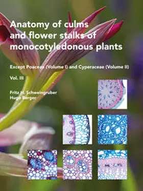 Schweingruber / Berger |  Anatomy of culms and flower stalks of monocotyledonous plants, Volume 3 | Buch |  Sack Fachmedien