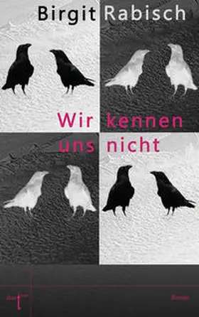 Rabisch |  Wir kennen uns nicht | Buch |  Sack Fachmedien