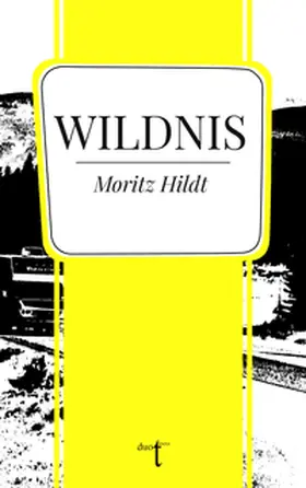 Hildt |  Wildnis | Buch |  Sack Fachmedien