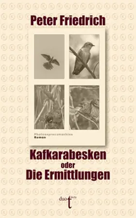 Friedrich |  Kafkarabesken oder Die Ermittlungen | eBook | Sack Fachmedien