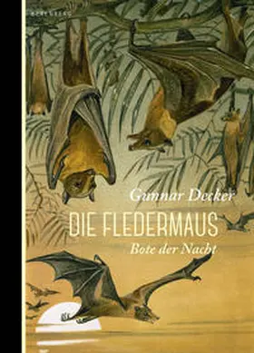 Decker |  Die Fledermaus | Buch |  Sack Fachmedien