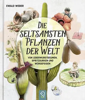 Weber |  Die seltsamsten Pflanzen der Welt | Buch |  Sack Fachmedien