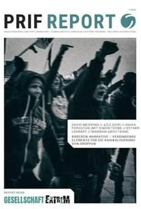 Meiering / Dziri / Foroutan |  Brückennarrative - Verbindende Elemente für die Radikalisierung von Gruppen | Buch |  Sack Fachmedien