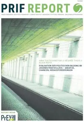 Tultschinetski / Theis / Rieth |  Evaluation der Politischen Bildung im Jugenstrafvollzug | Buch |  Sack Fachmedien