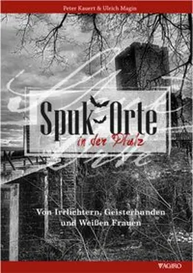  Spukorte in der Pfalz | Buch |  Sack Fachmedien