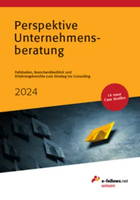 Hies |  Perspektive Unternehmensberatung 2024 | Buch |  Sack Fachmedien