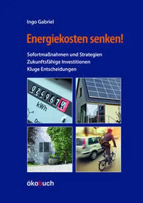 Gabriel |  Energiekosten senken! | Buch |  Sack Fachmedien