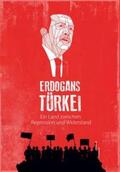 Erdogan |  Erdogans Türkei | Buch |  Sack Fachmedien