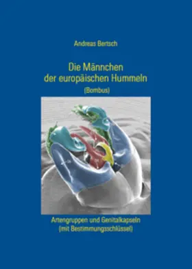 Bertsch |  Die Männchen der europäischen Hummeln (Bombus) | Buch |  Sack Fachmedien