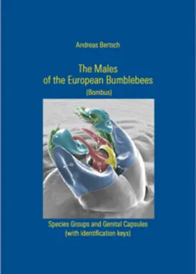 Bertsch |  The Males of the European Bumblebees (Bombus) | Buch |  Sack Fachmedien