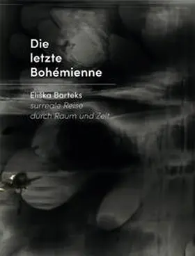 Bartek / Max Wandeler Stiftung, Luzern / Obrist |  Eliška Bartek - Die letzte Bohémienne | Buch |  Sack Fachmedien